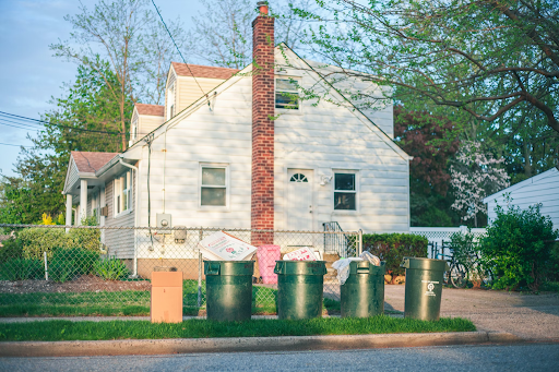 What Should You Do If You Have a Pest Problem in the Hills District?
