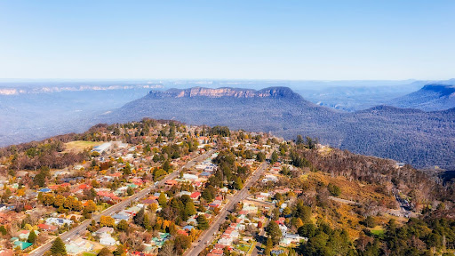 Pest Control Blue Mountains: Top Pests and How to Stop Them
